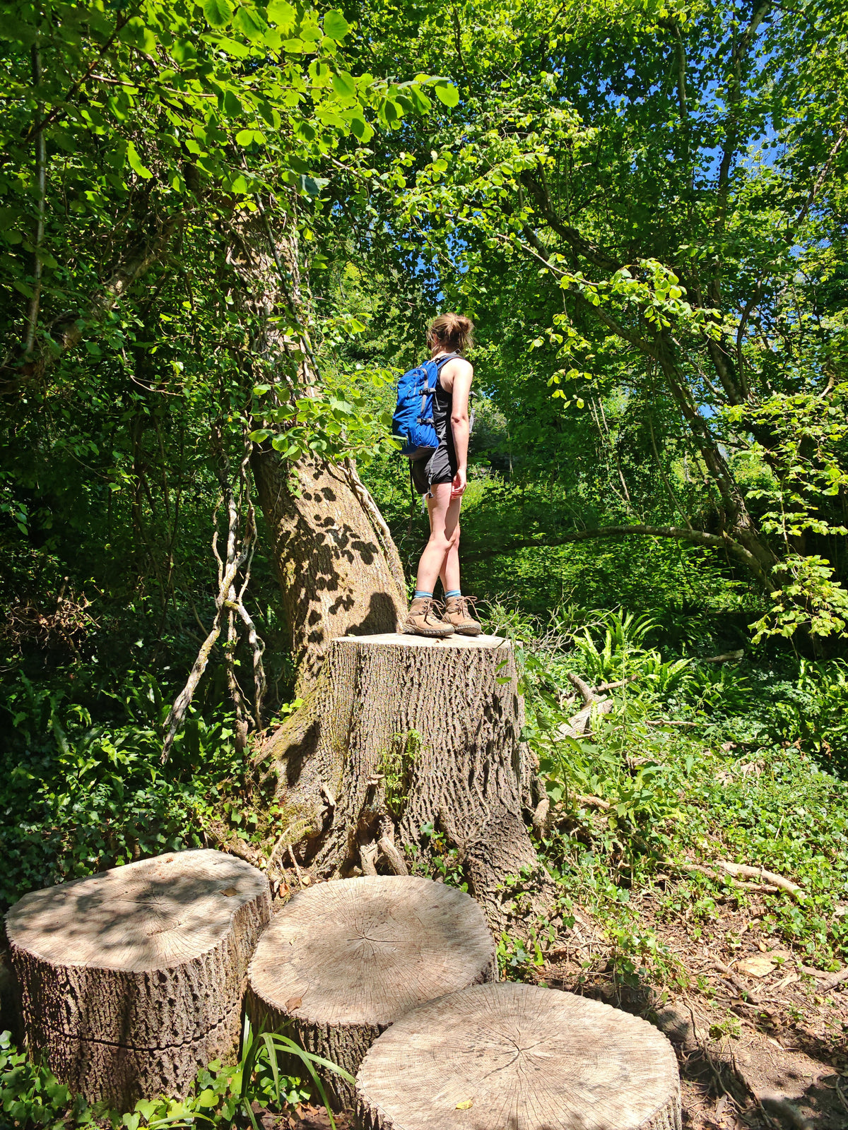 West Country Guided Walks