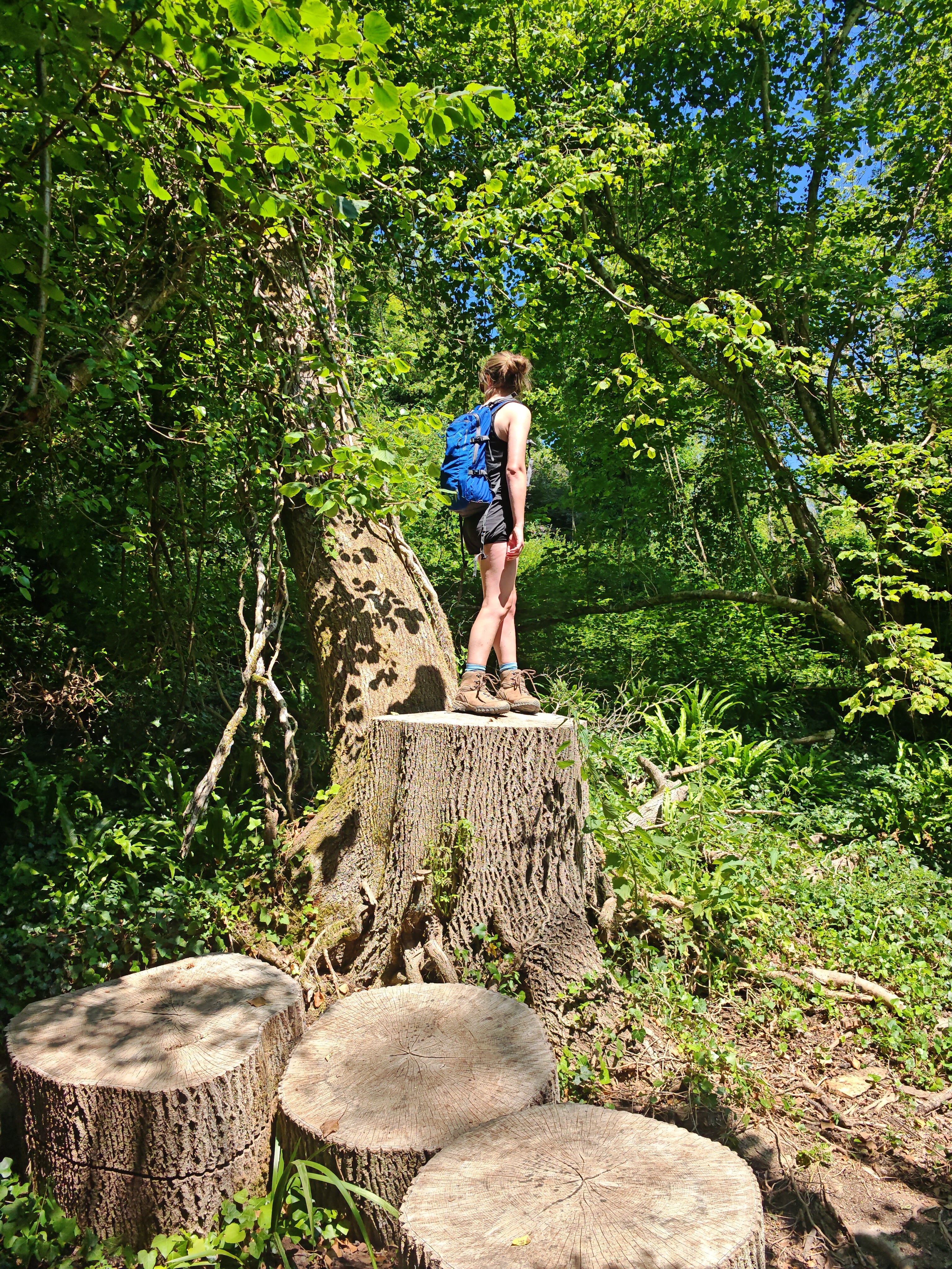 West Country Guided Walks