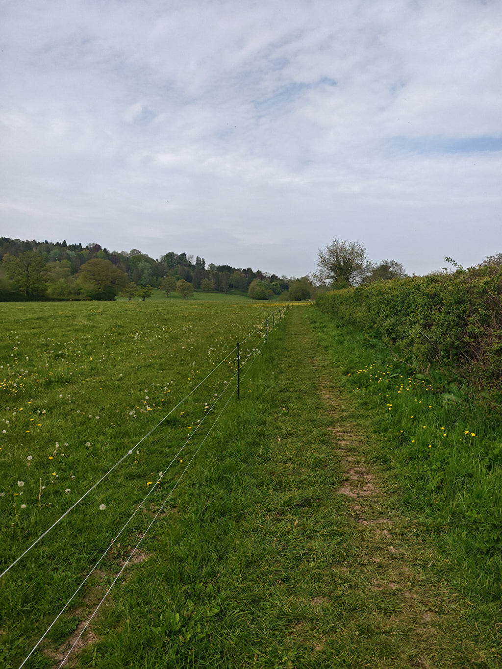 Founders Walk -Axminster to Smallridge- All Saints Church 18:30 Wednesday 13th MAY 2026