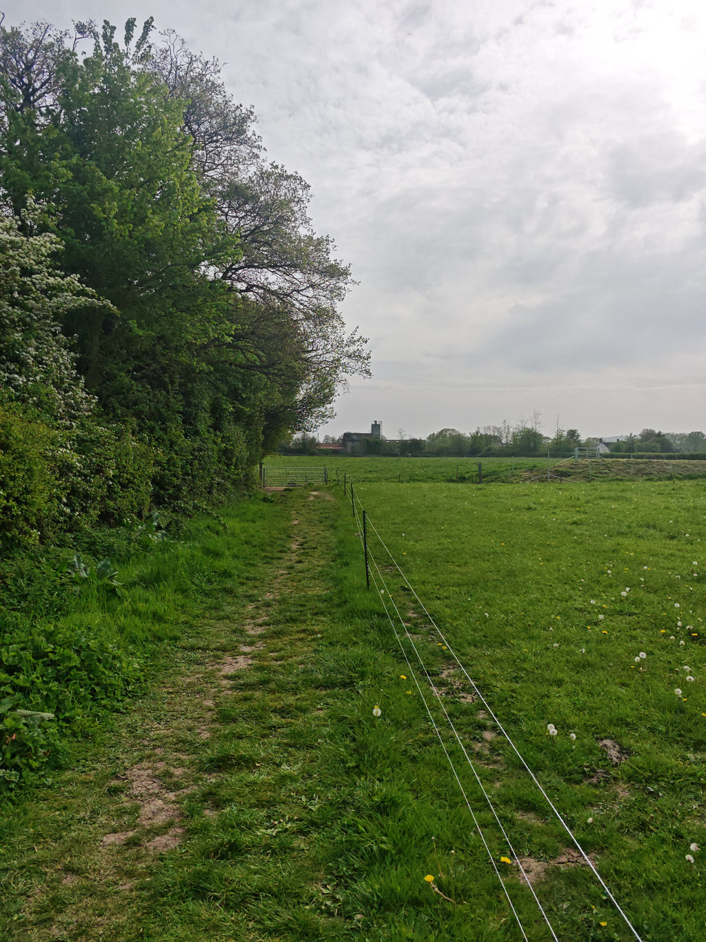Founders Walk -Axminster to Smallridge- All Saints Church 18:30 Wednesday 13th MAY 2026