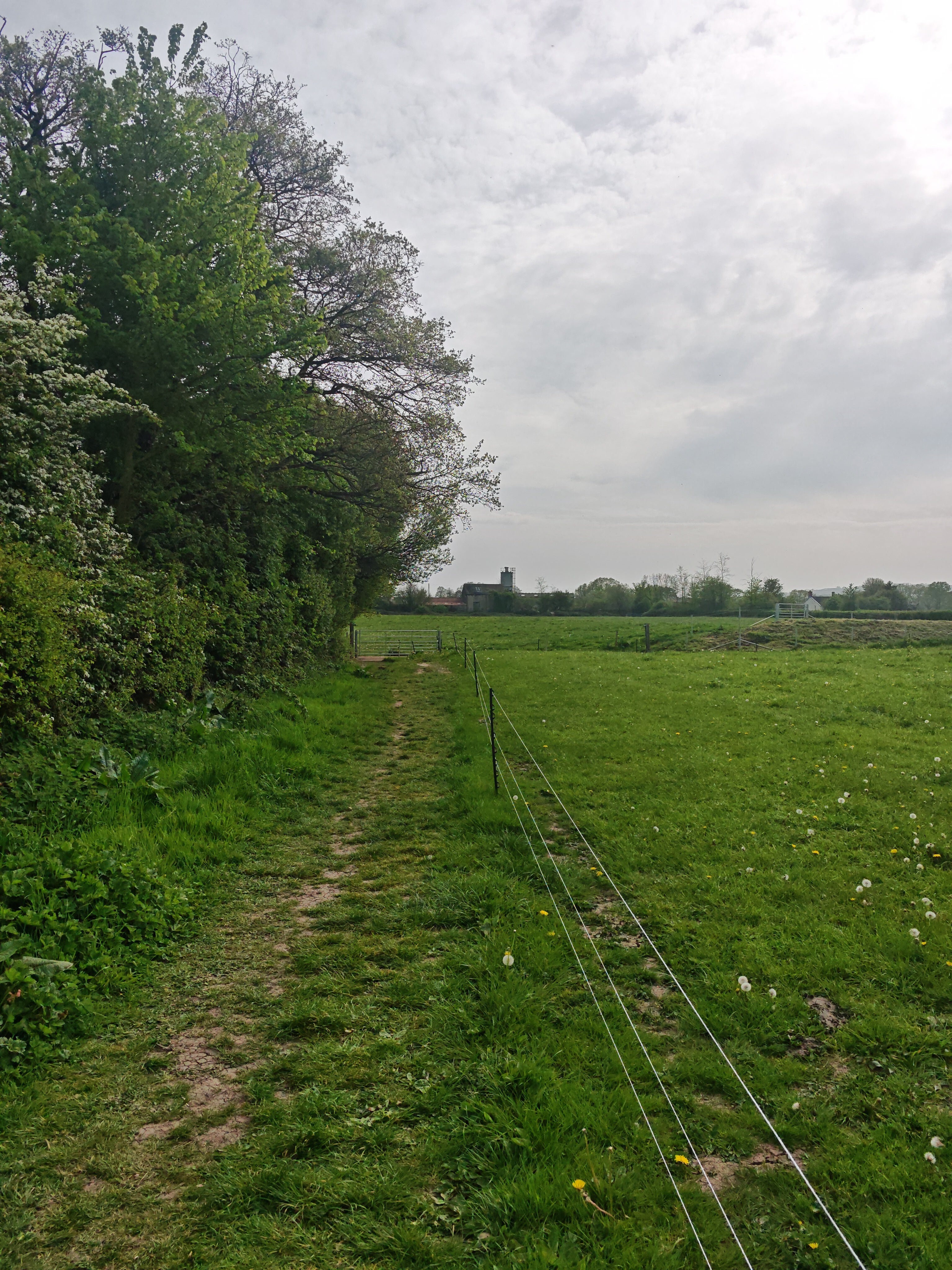 Founders Walk -Axminster to Smallridge- All Saints Church 18:30 Wednesday 13th MAY 2026