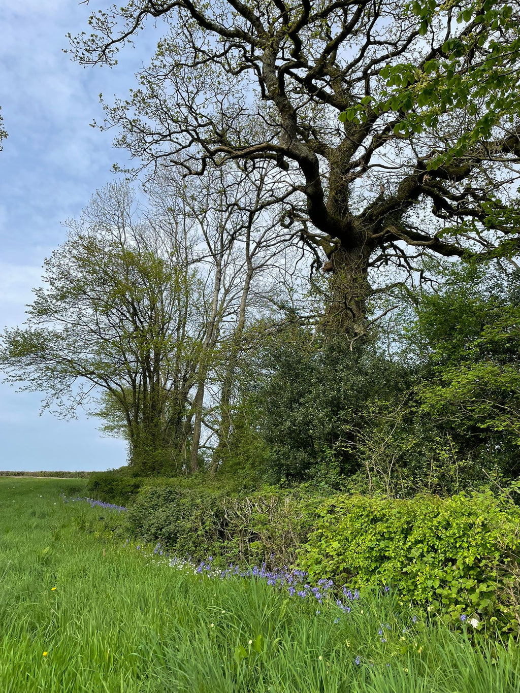 Founders Walk -Axminster to Smallridge- All Saints Church 18:30 Wednesday 13th MAY 2026