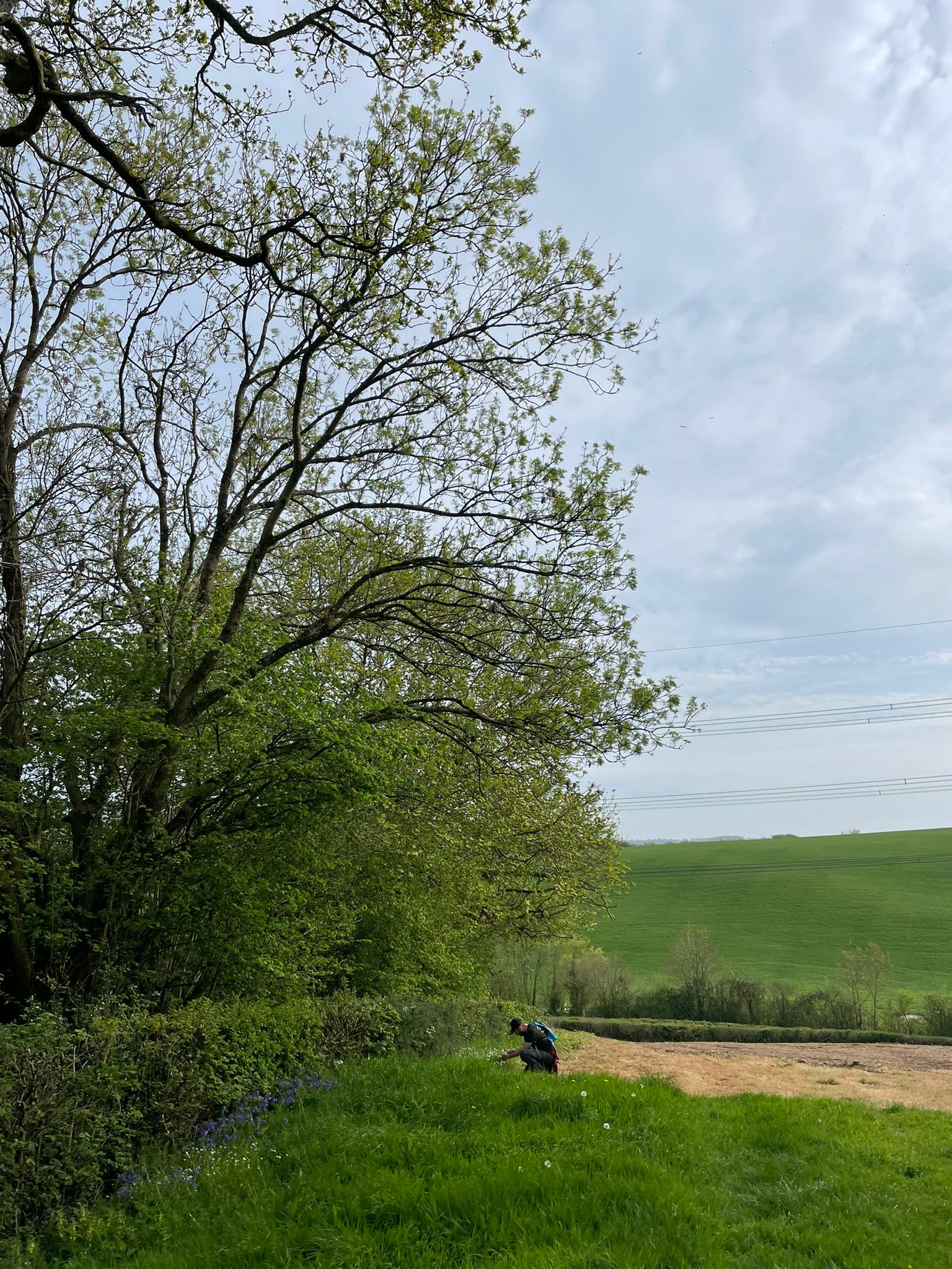 Founders Walk -Axminster to Smallridge- All Saints Church 18:30 Wednesday 13th MAY 2026