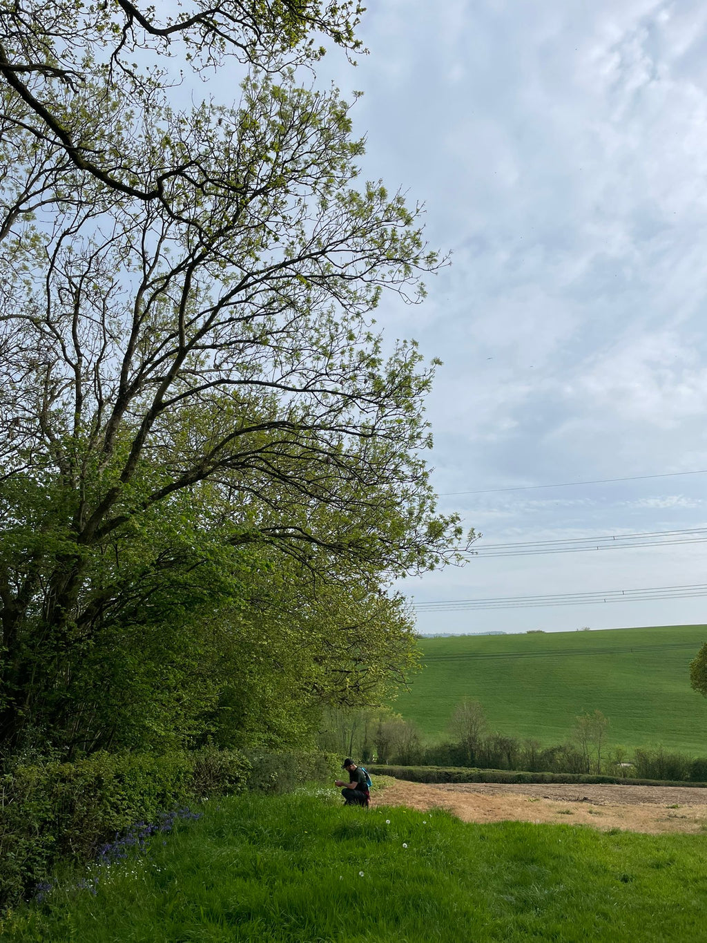 Founders Walk -Axminster to Smallridge- All Saints Church 18:30 Wednesday 13th MAY 2026