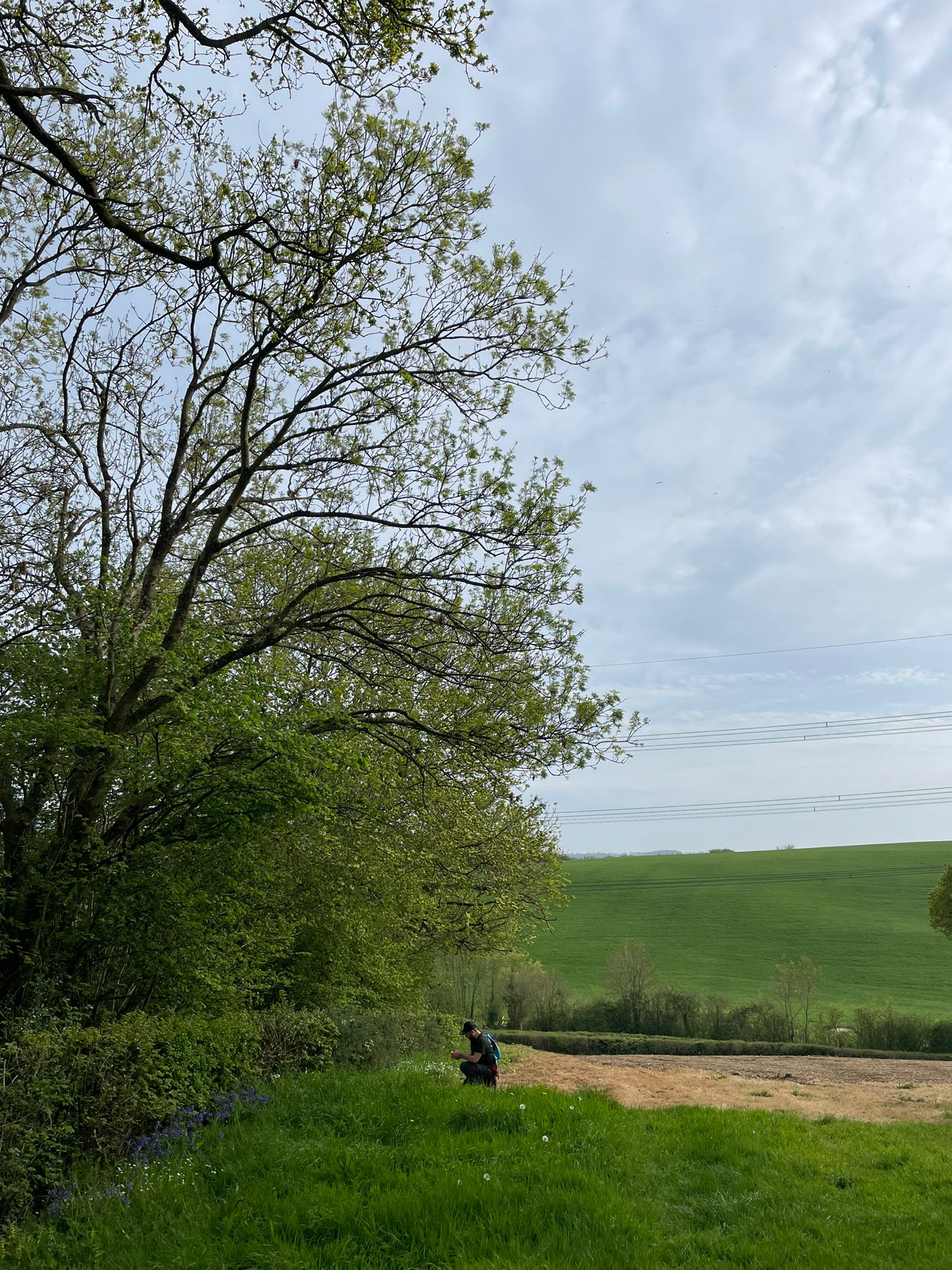Founders Walk -Axminster to Smallridge- All Saints Church 18:30 Wednesday 13th MAY 2026
