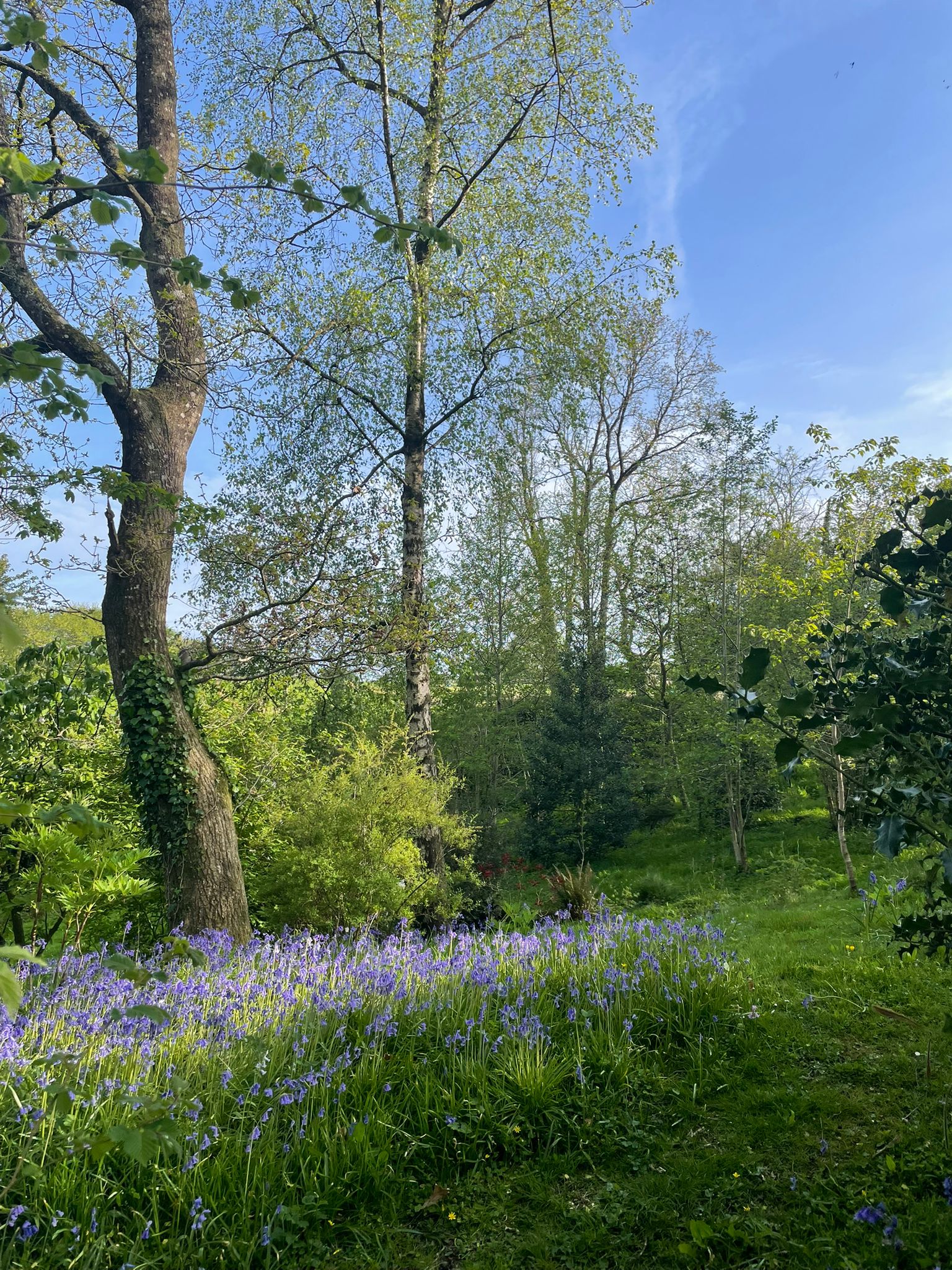 Founders Walk -Axminster to Smallridge- All Saints Church 18:30 Wednesday 13th MAY 2026