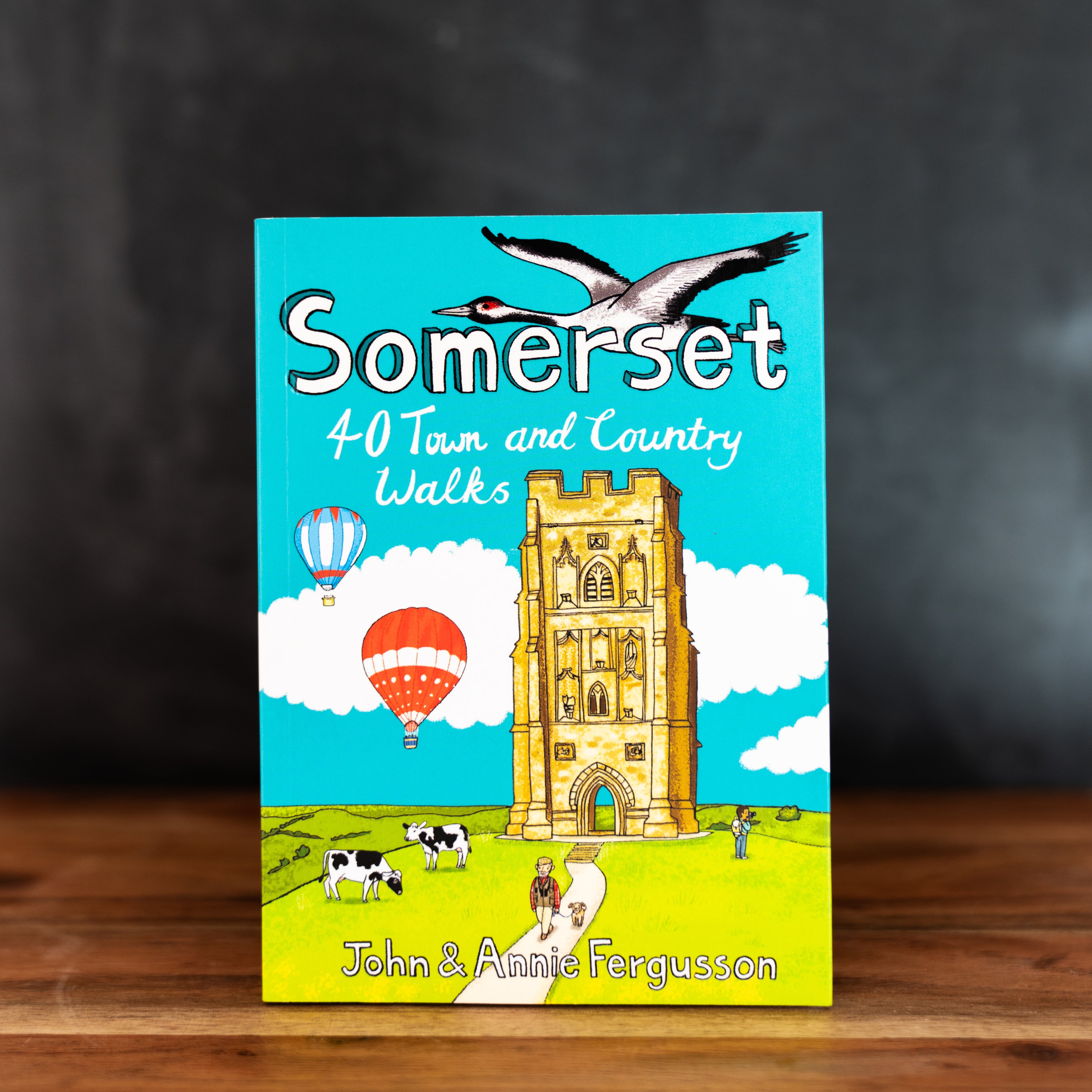 Somerset: 40 Town and Country Walks