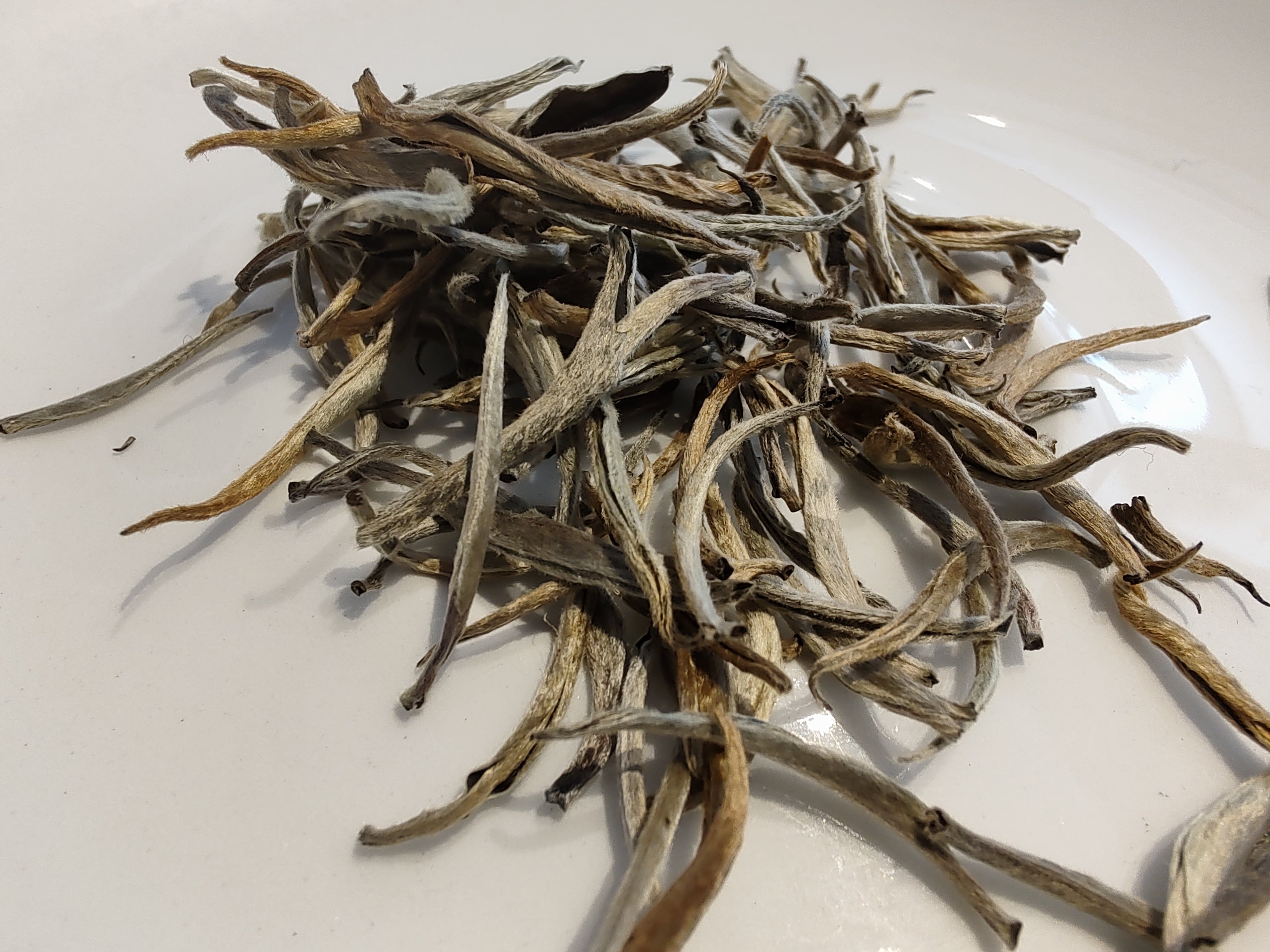 Silver Needles 25G